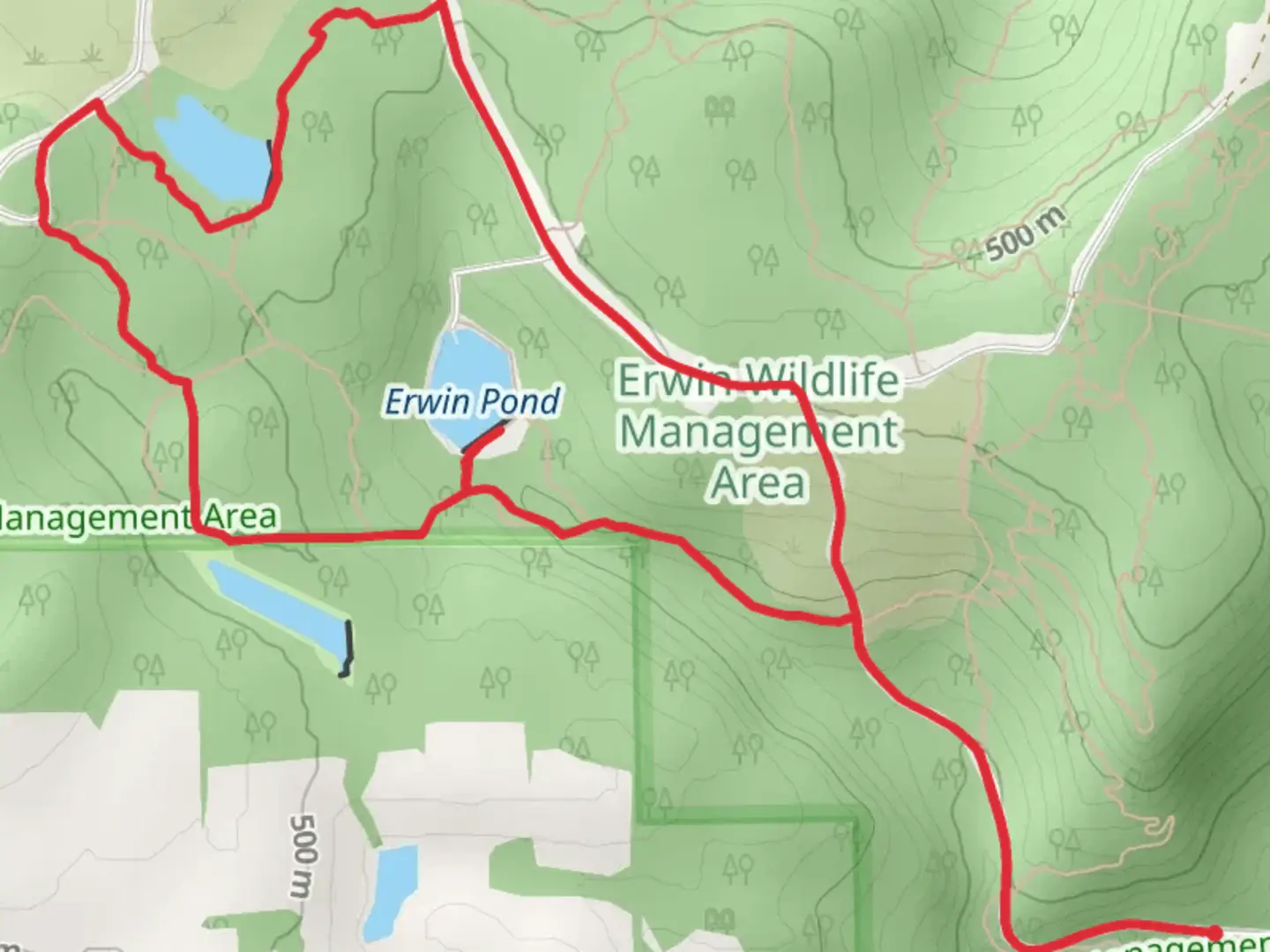An image depicting the trail Erwin Pond Loop and its surrounding area.