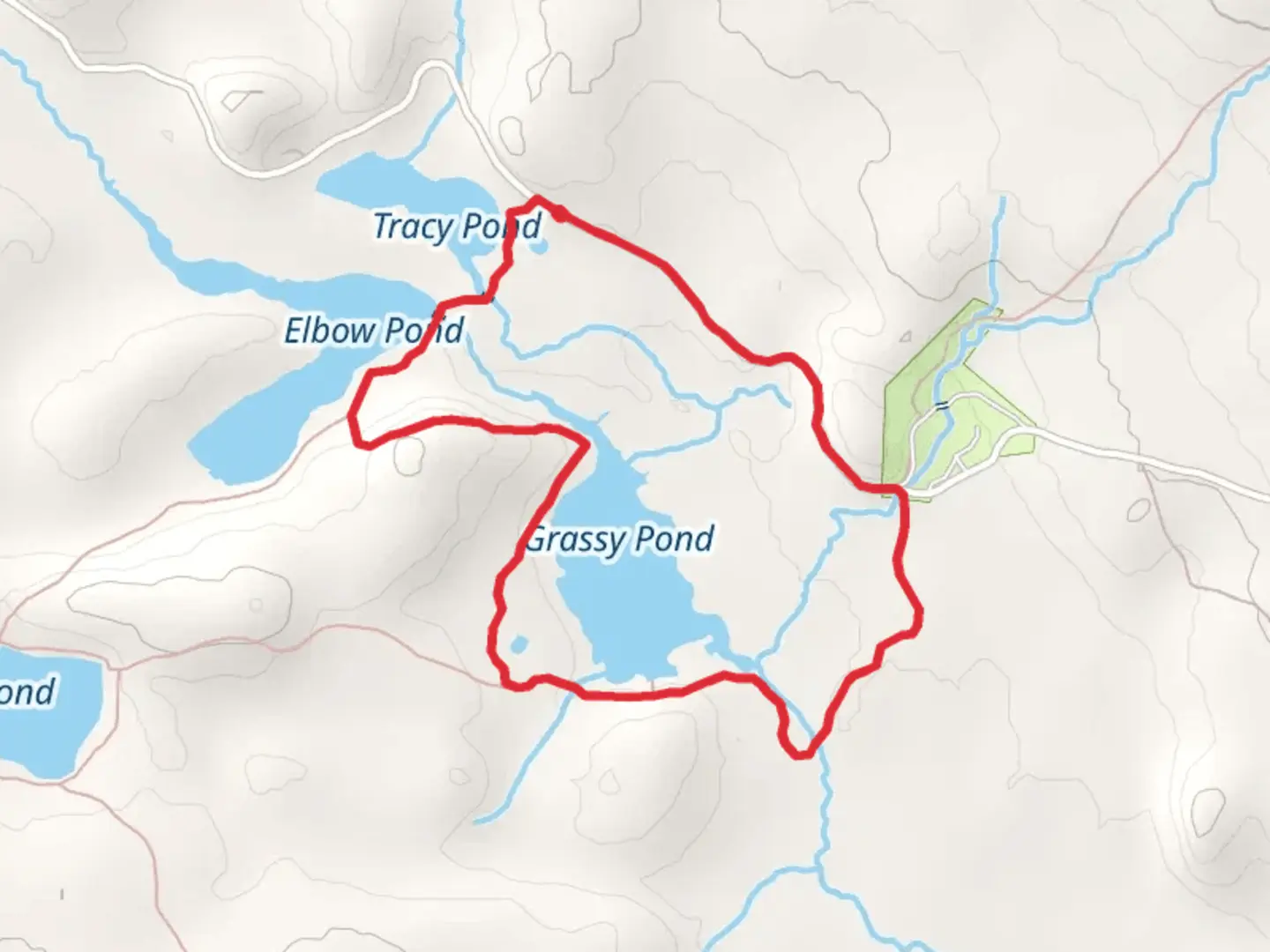 An image depicting the trail Grassy Pond Loop and its surrounding area.