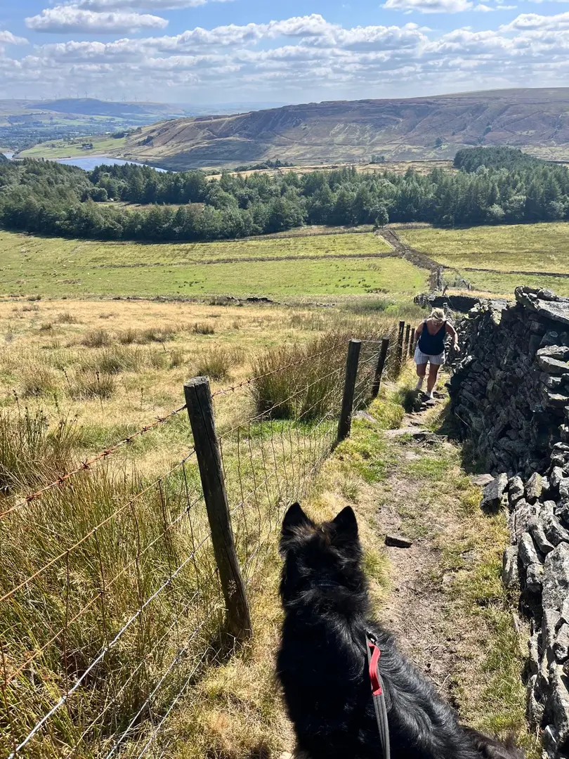 An image depicting the trail Clough Head cafe round Quarry circluar and its surrounding area.