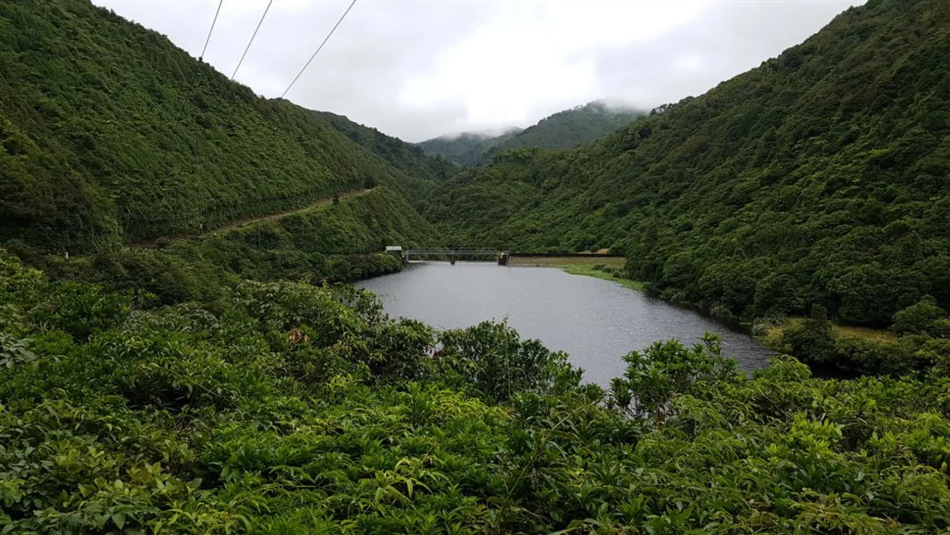 An image depicting the trail Mangahao Makahika Track and its surrounding area.