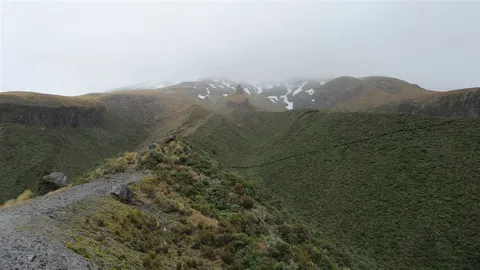 Waiwhakaiho Track