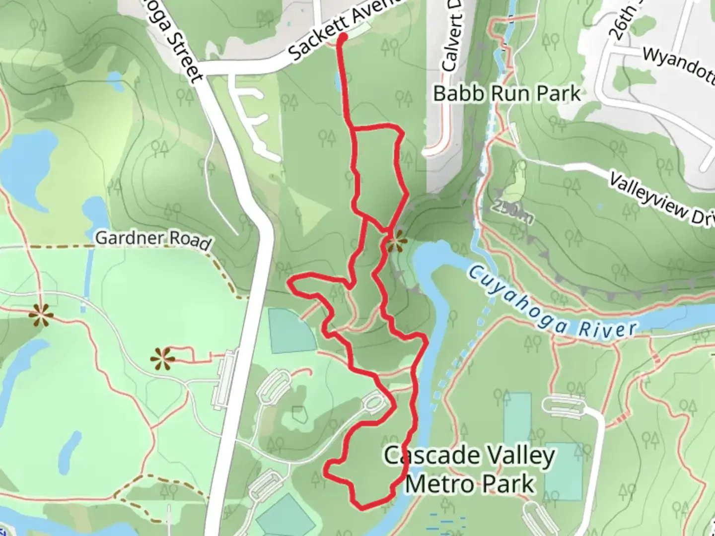 An image depicting the trail Overlook Loop Trail - Long and its surrounding area.