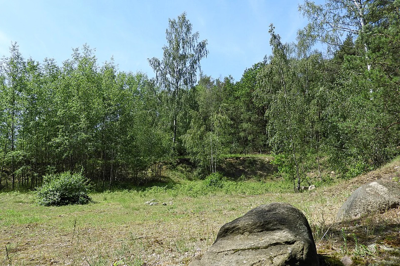 An image depicting the trail Scharpenberg via Schäferweg and Haardgrenzweg Rundweg and its surrounding area.