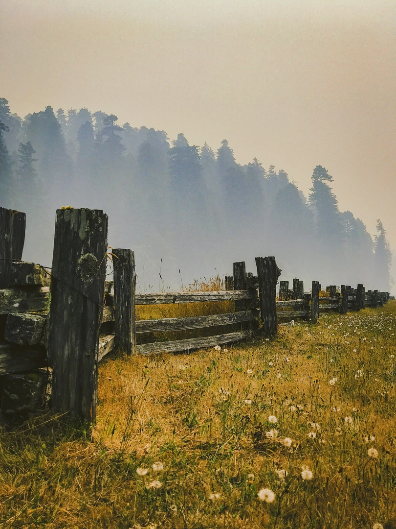 An image depicting the trail West Ridge - Rhododendron - Brown Creek Loop Trail and its surrounding area.
