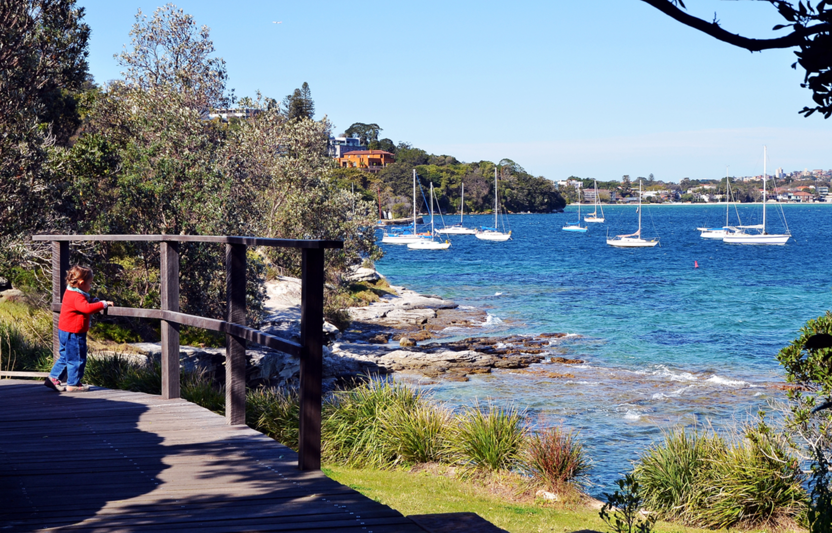 An image depicting the trail Hermitage Foreshore Track and its surrounding area.