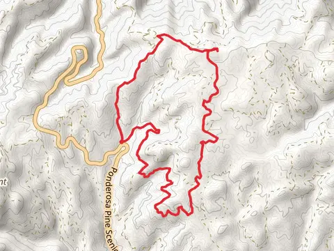 Lower Banner Trail, Elkhorn Loop and Alpine Trail