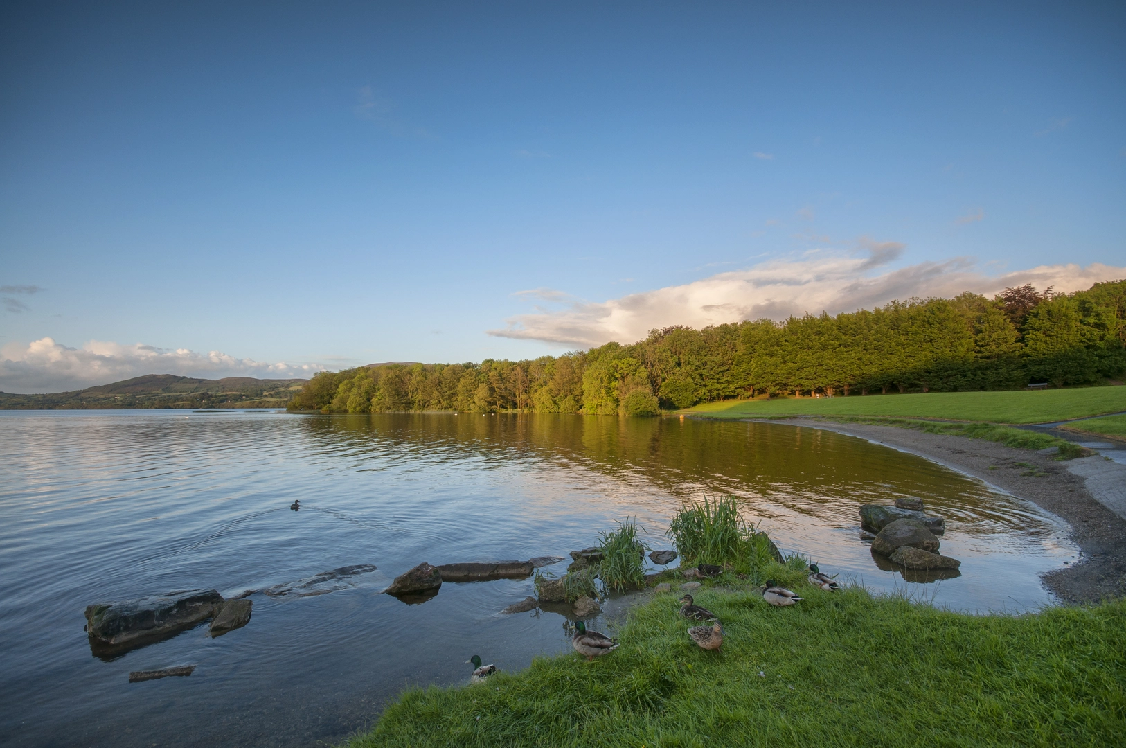 An image depicting the trail Ballycuggaran - Crag Wood Walk and its surrounding area.