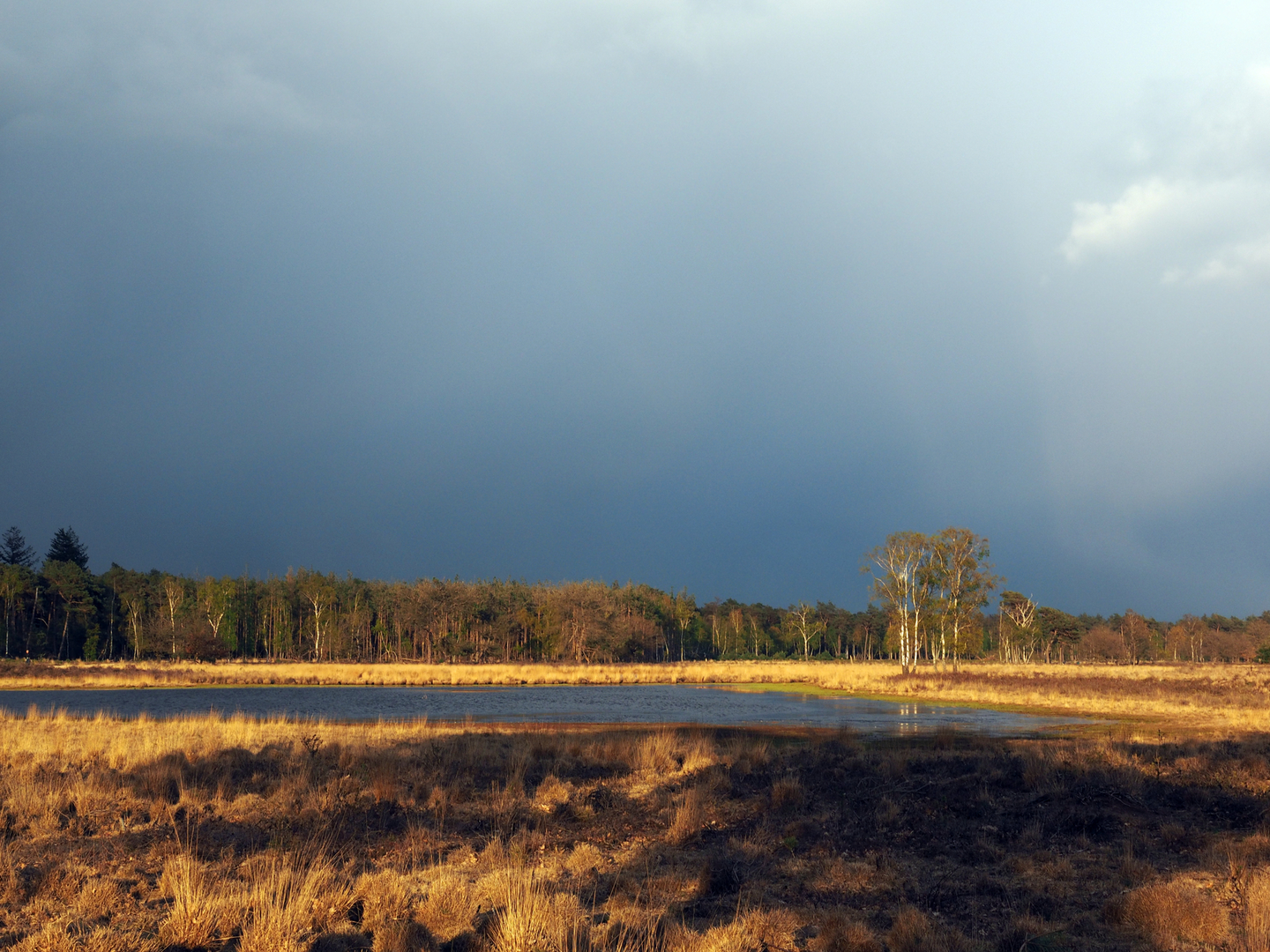 An image depicting the trail Witven and Hoenderboom Loop and its surrounding area.