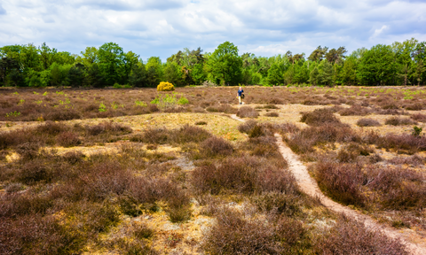 Gaswinning Paarden Slenkte and Bezoekerscentrum Loop