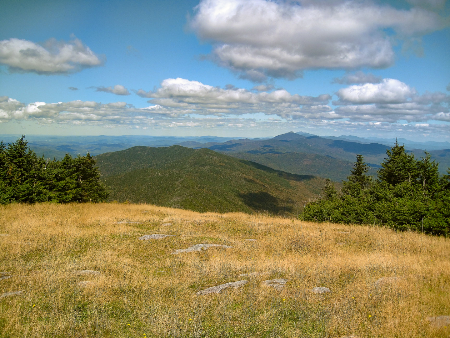 An image depicting the trail Monroe Skyline Trail and its surrounding area.