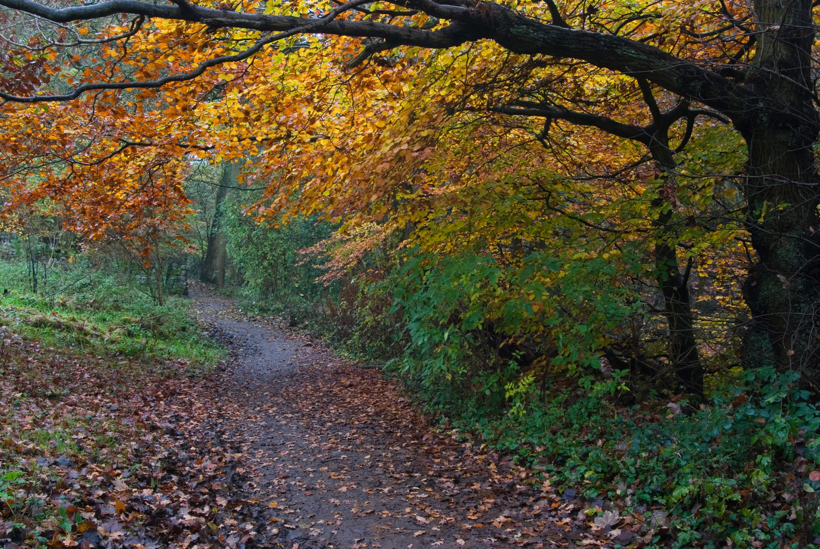 An image depicting the trail Park and Historical Sites in Leeds and its surrounding area.