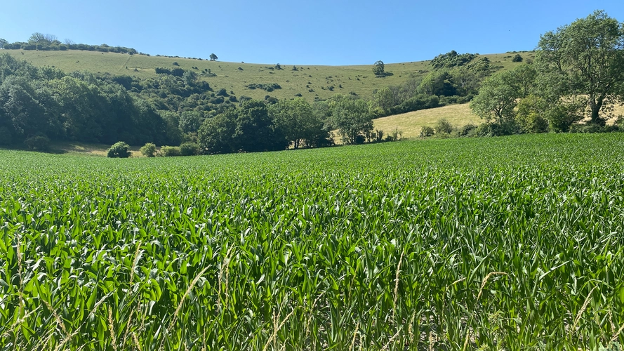 Ditchling Beacon Circular