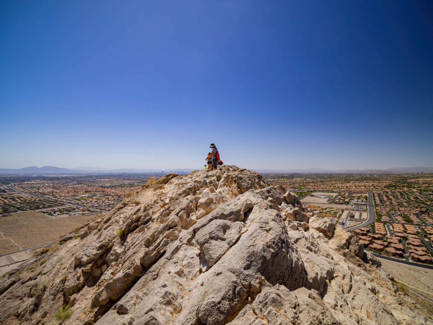 An image depicting the trail Lone Mountain Loop and its surrounding area.