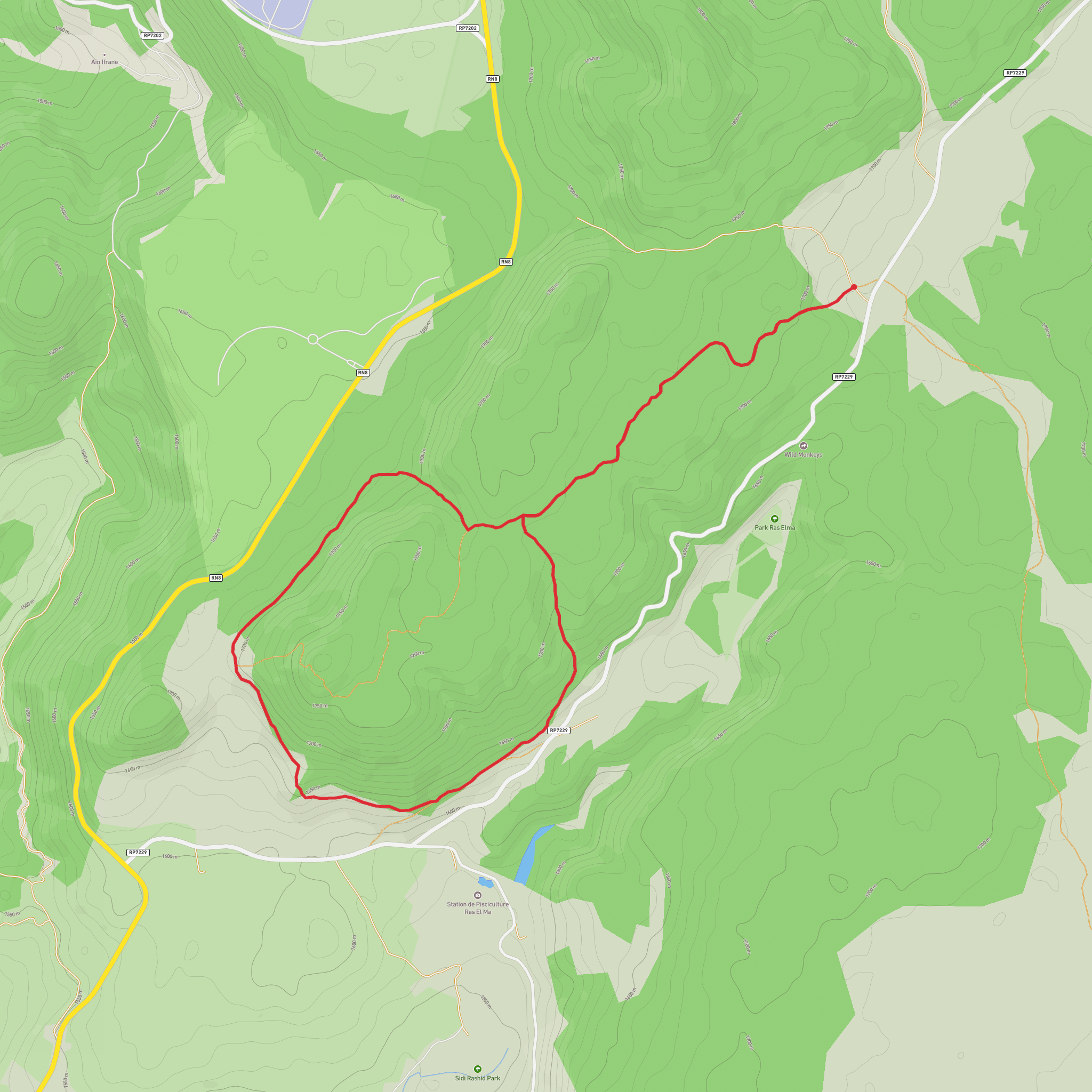 Monkey Loop Trail mobile static map