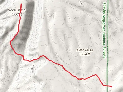 Horse Mesa Trail via Winter Trail