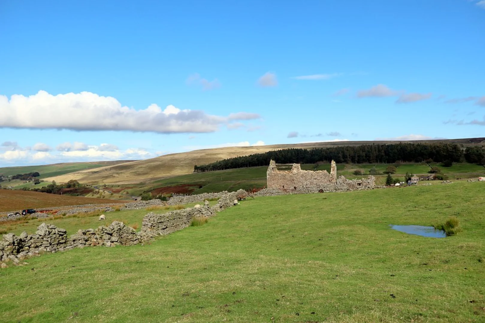 An image depicting the trail Allenheads to Fell View Loop and its surrounding area.
