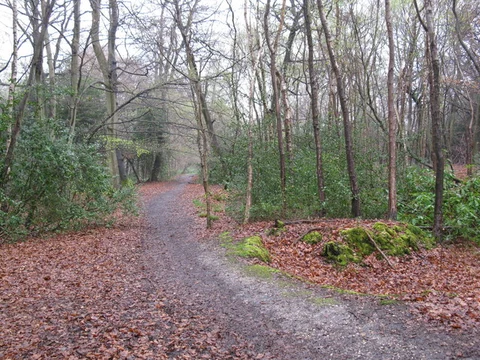 High Knowl Wood Loop