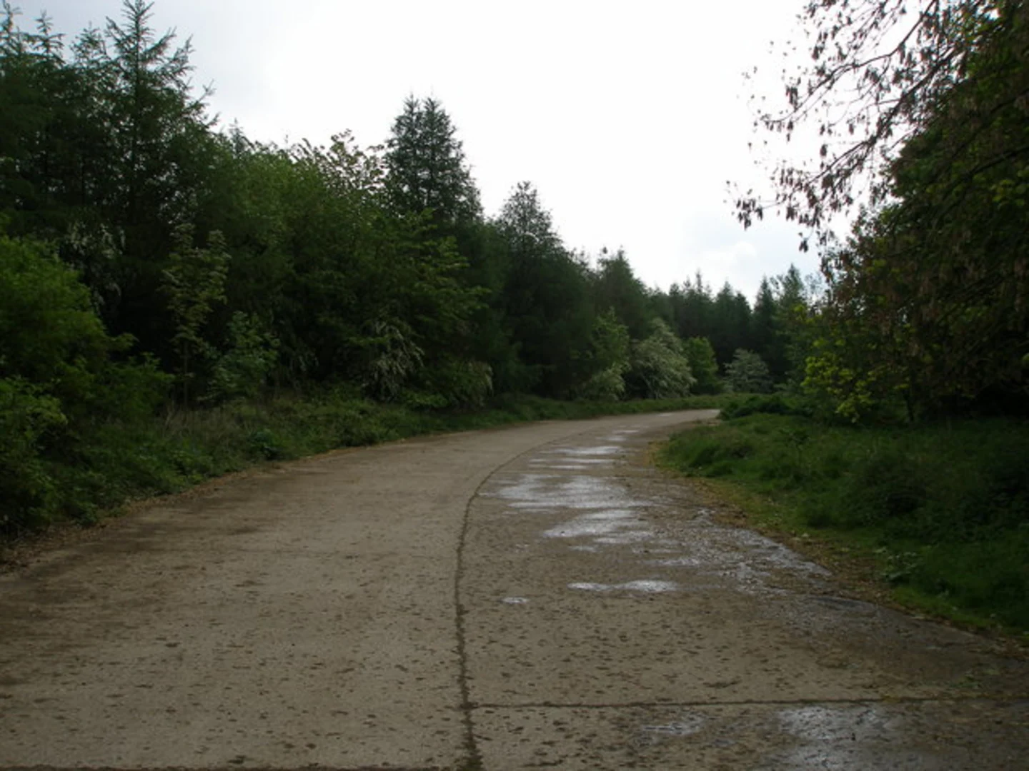 An image depicting the trail Hob Bank Wood and Mill Wood Loop and its surrounding area.
