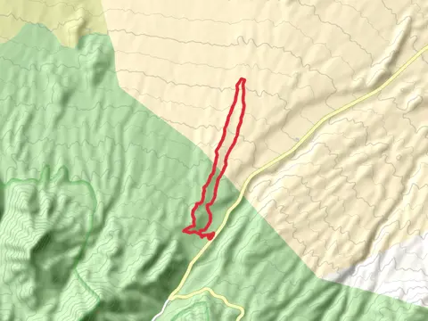 Blue, Green and Pinyon Pine Loop