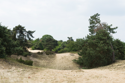 Kasteel Geijsteren and Holtmeulen Loop