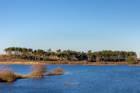 Vogelmeer, Zuidervlak, Heerenduinen and Oosterplas Loop