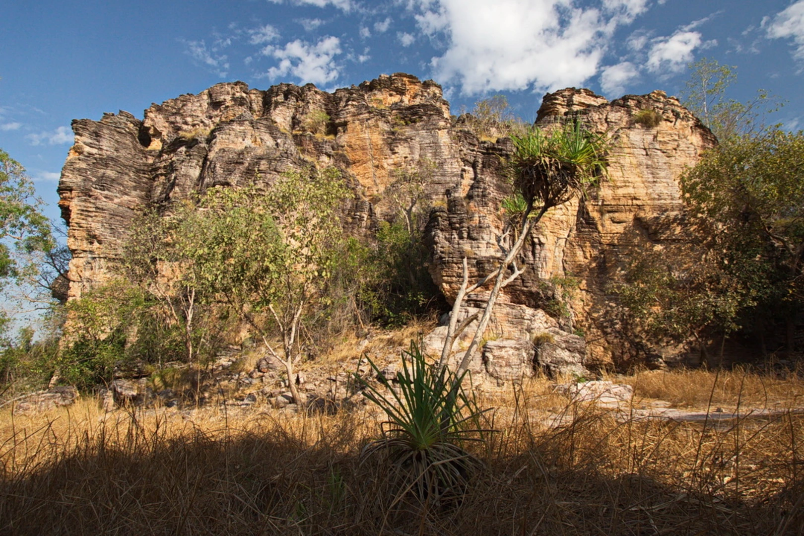An image depicting the trail Bardedjilidji Walk and its surrounding area.