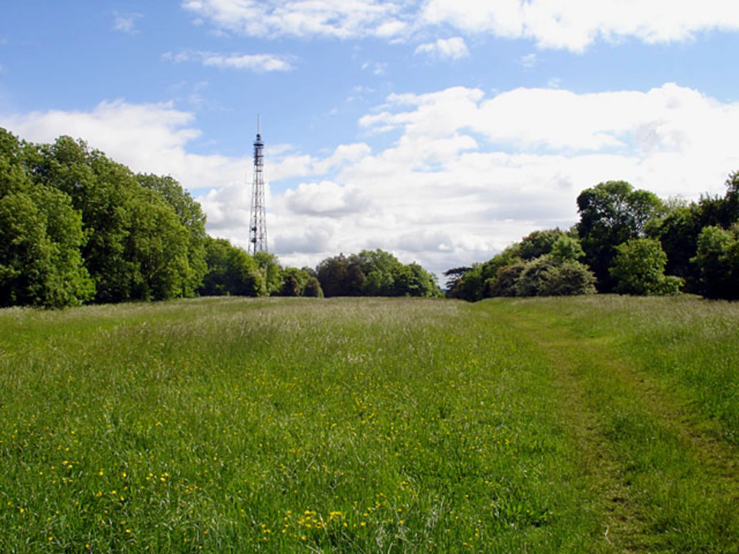 An image depicting the trail Kings Weston Woods Loop and its surrounding area.