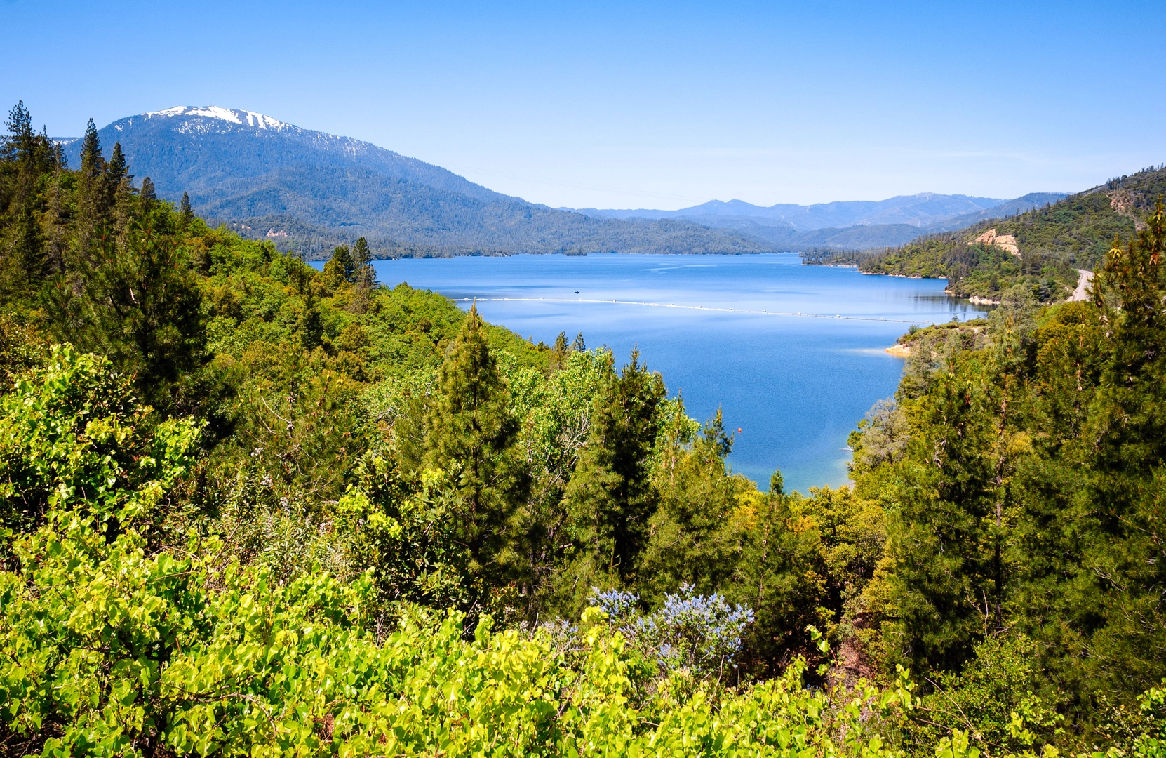 An image depicting the trail Whiskeytown Cemetery Loop and its surrounding area.