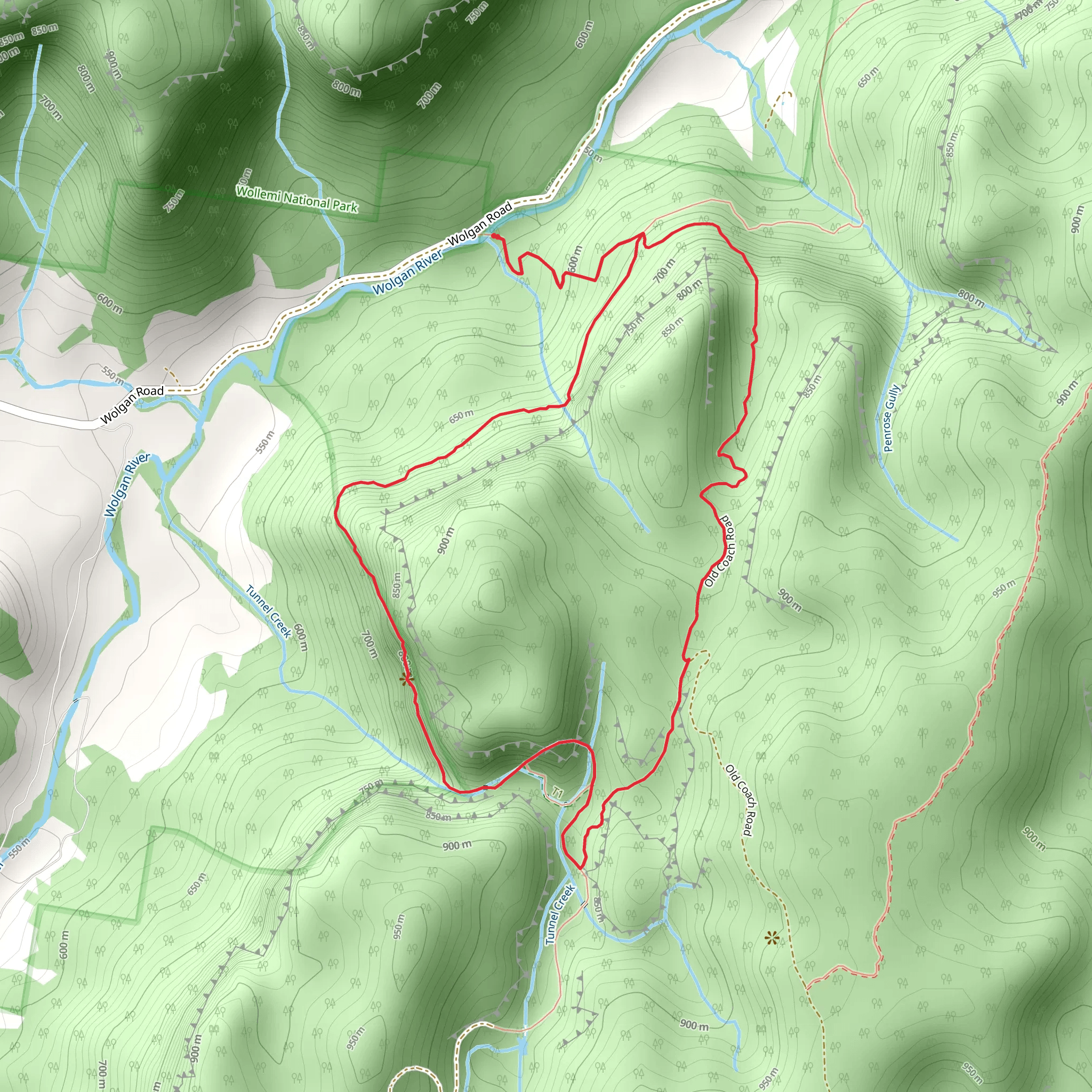 Glow Worm Tunnel Loop Trail mobile static map