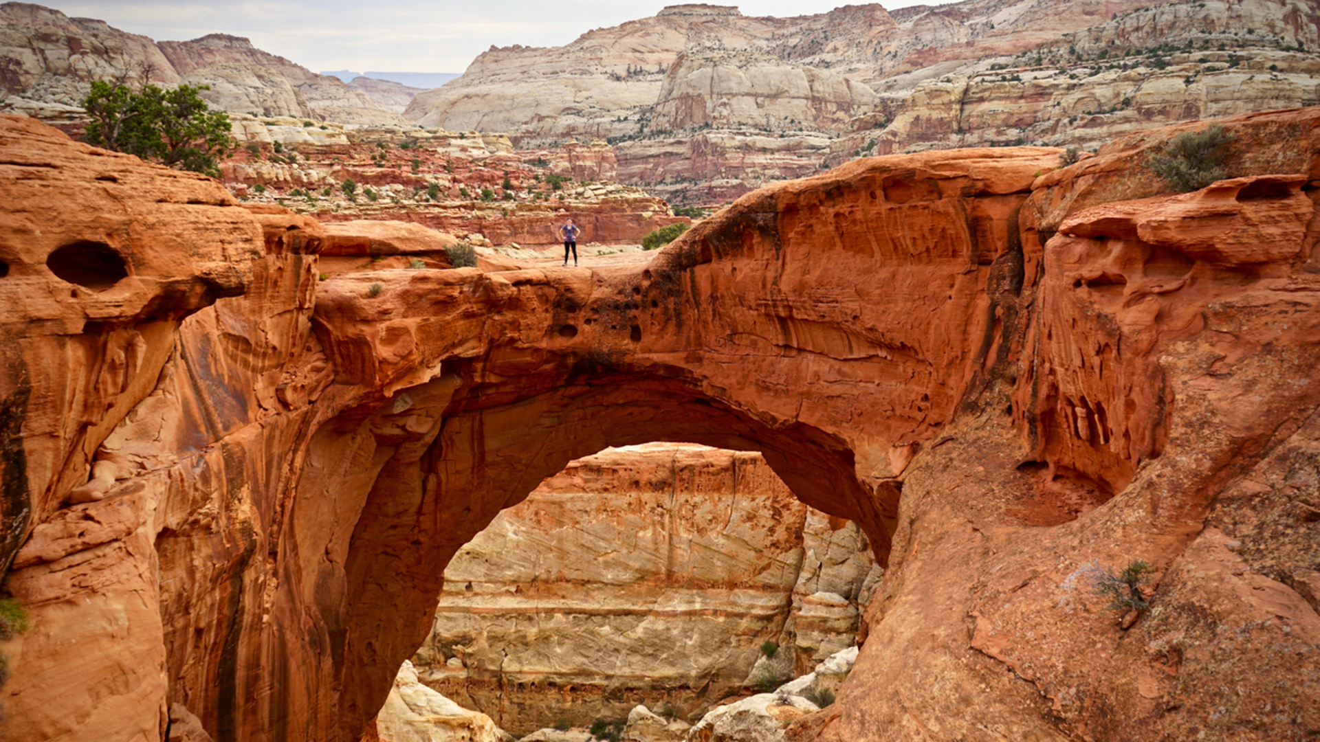 An image depicting the trail Cassidy Arch Trail and its surrounding area.