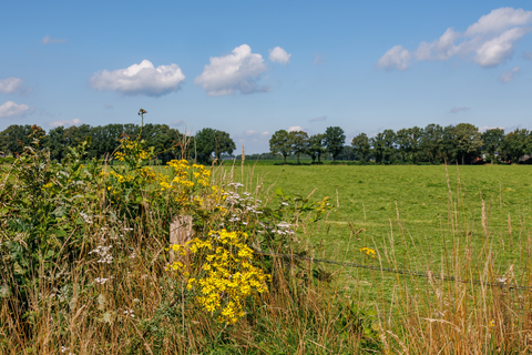 Kaapdijk, Kooiveldlaan and Hietland Loop