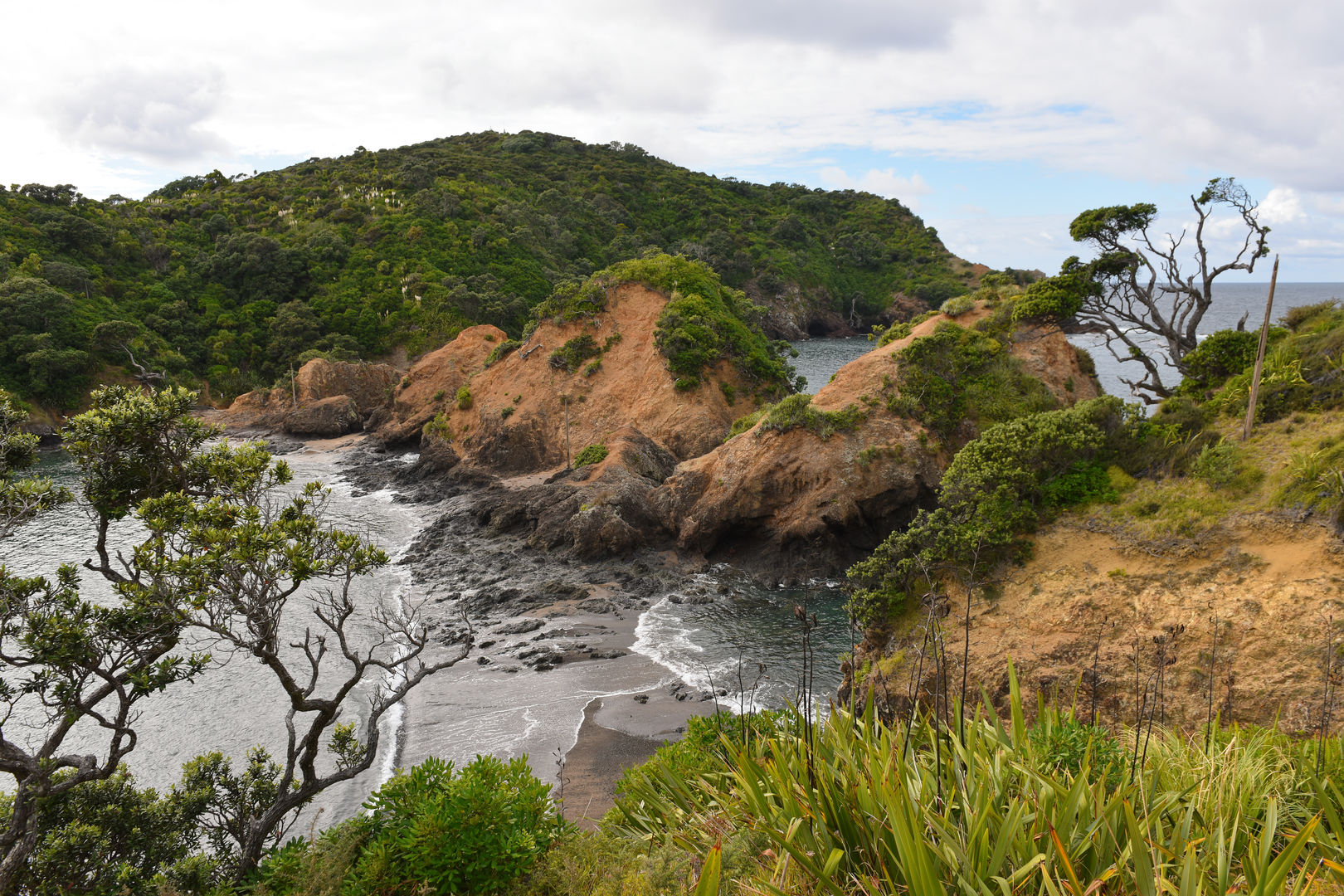 An image depicting the trail Tutukaka Head Track and its surrounding area.