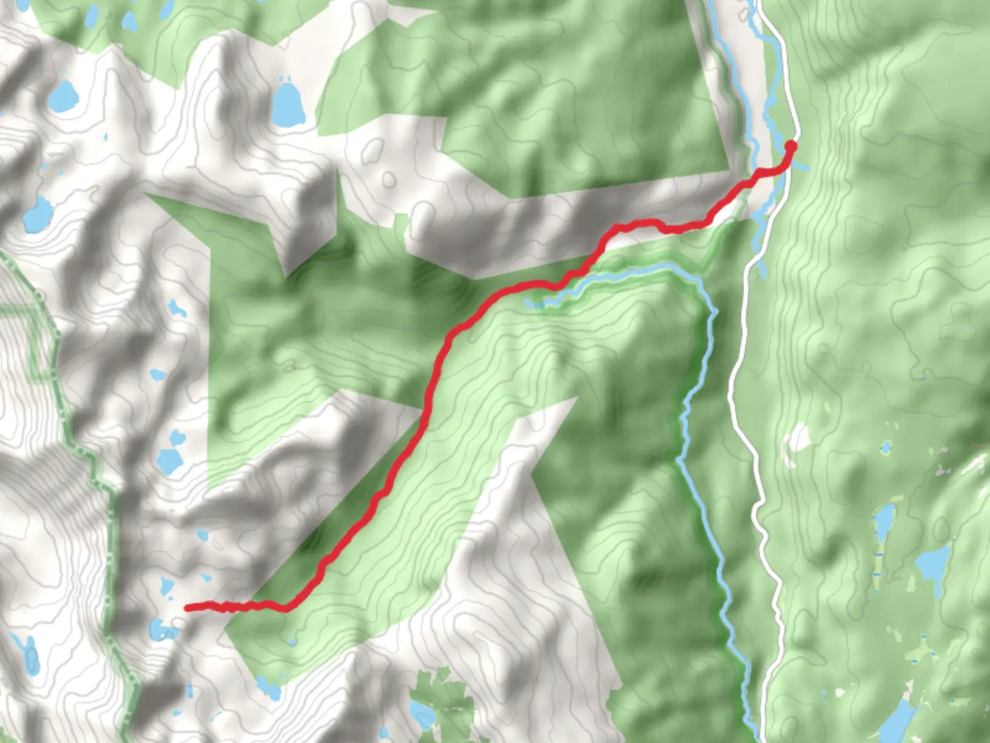 An image depicting the trail West Branch Trail and its surrounding area.