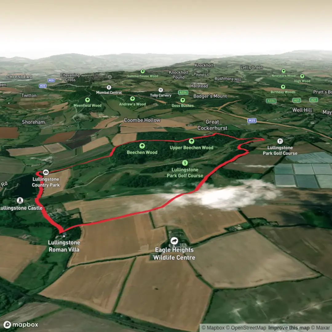 An image depicting the trail Bluebell Walk with Roman Villa and its surrounding area.