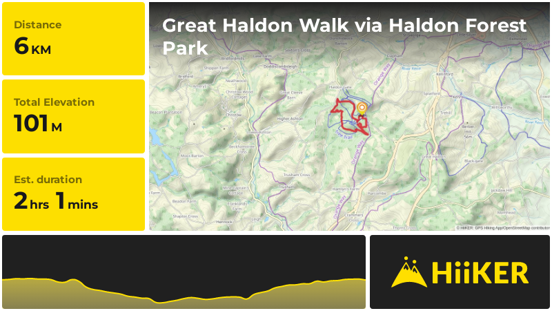 Great Haldon Walk via Haldon Forest Park | Devon | England