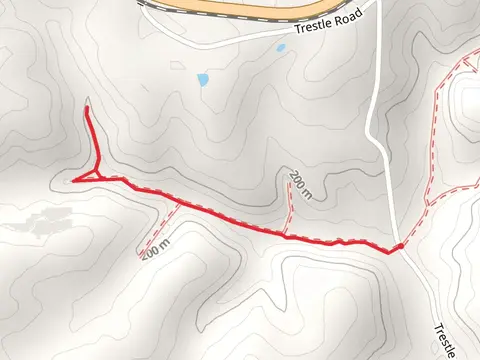 Yellow Birch Ravine - West