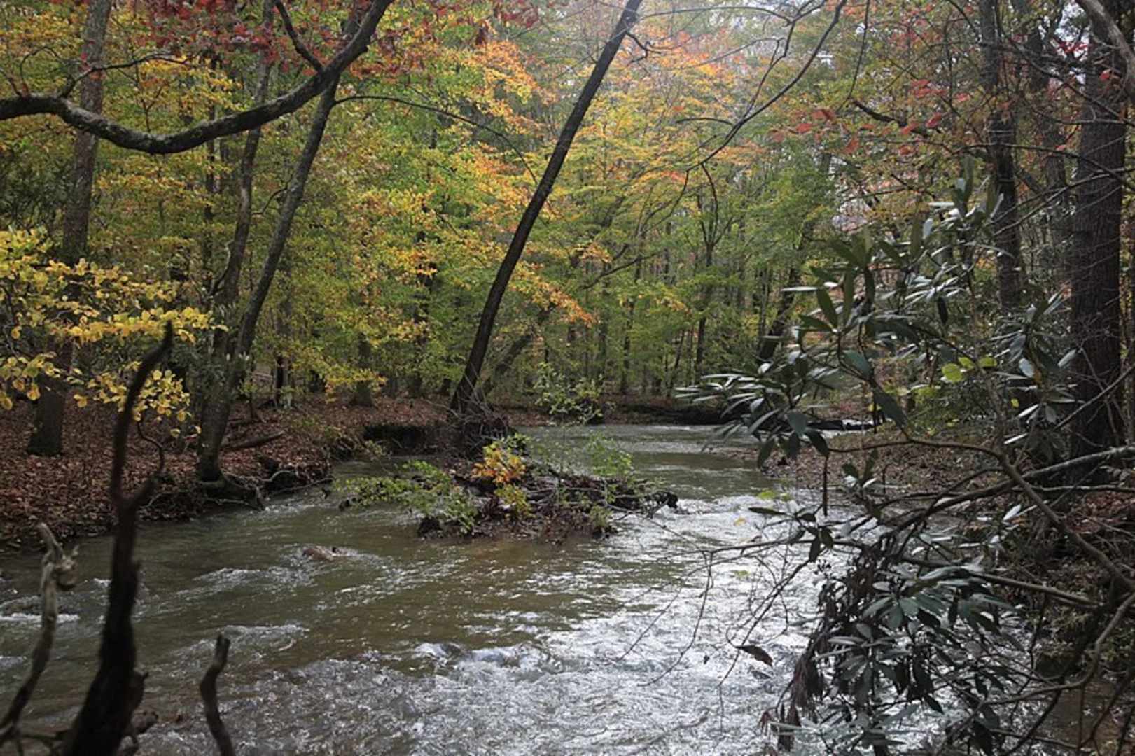 An image depicting the trail Craig Creek Loop Trail and its surrounding area.