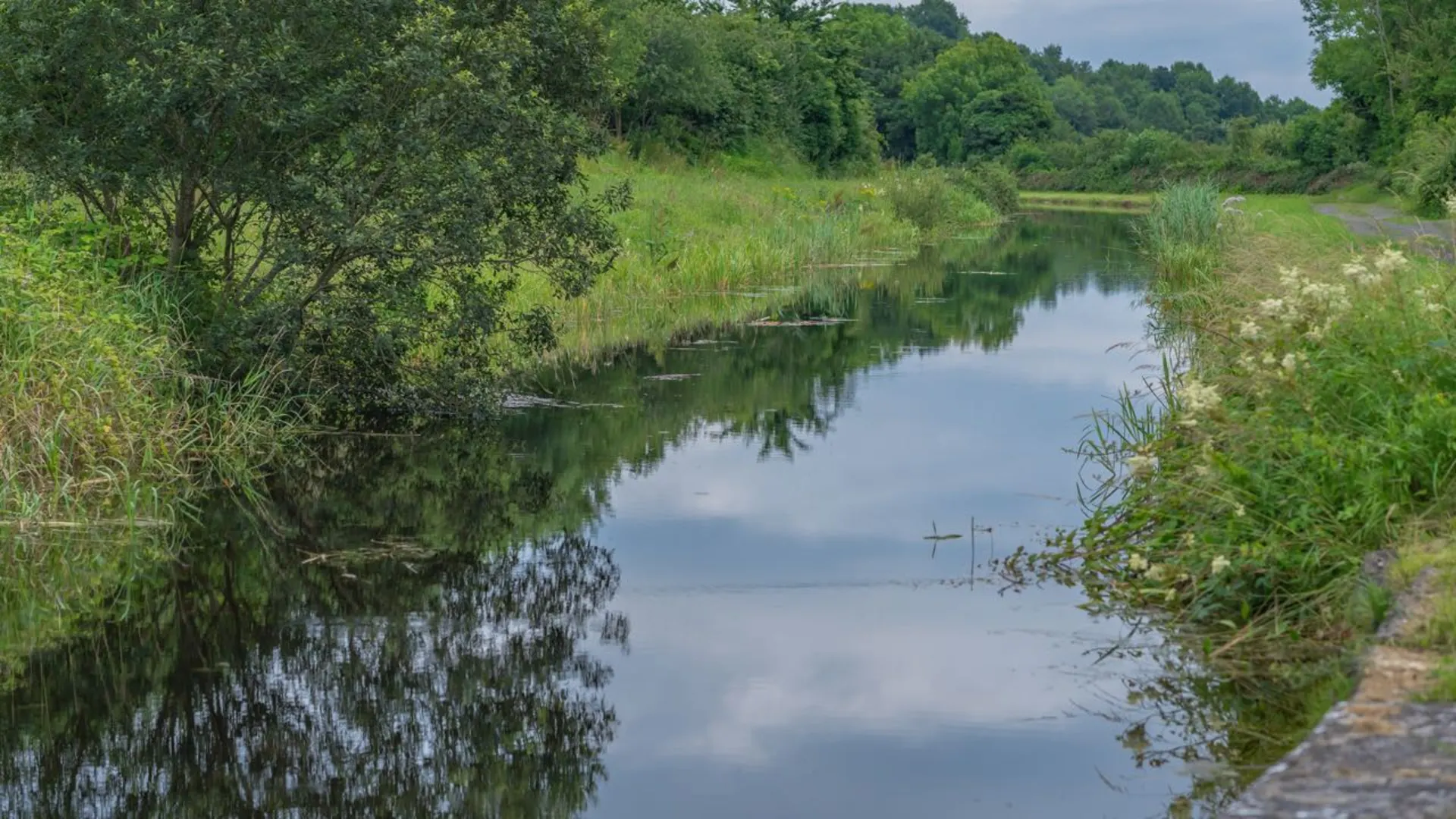 An image depicting the trail Royal Canal Way and its surrounding area.