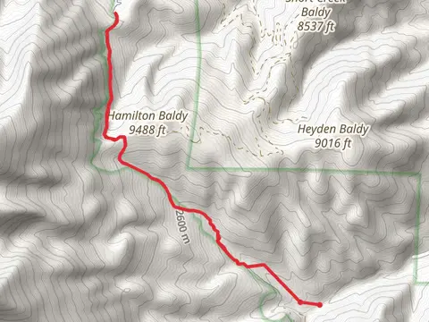 Rainbow Trail - Short from Hayden Creek Road