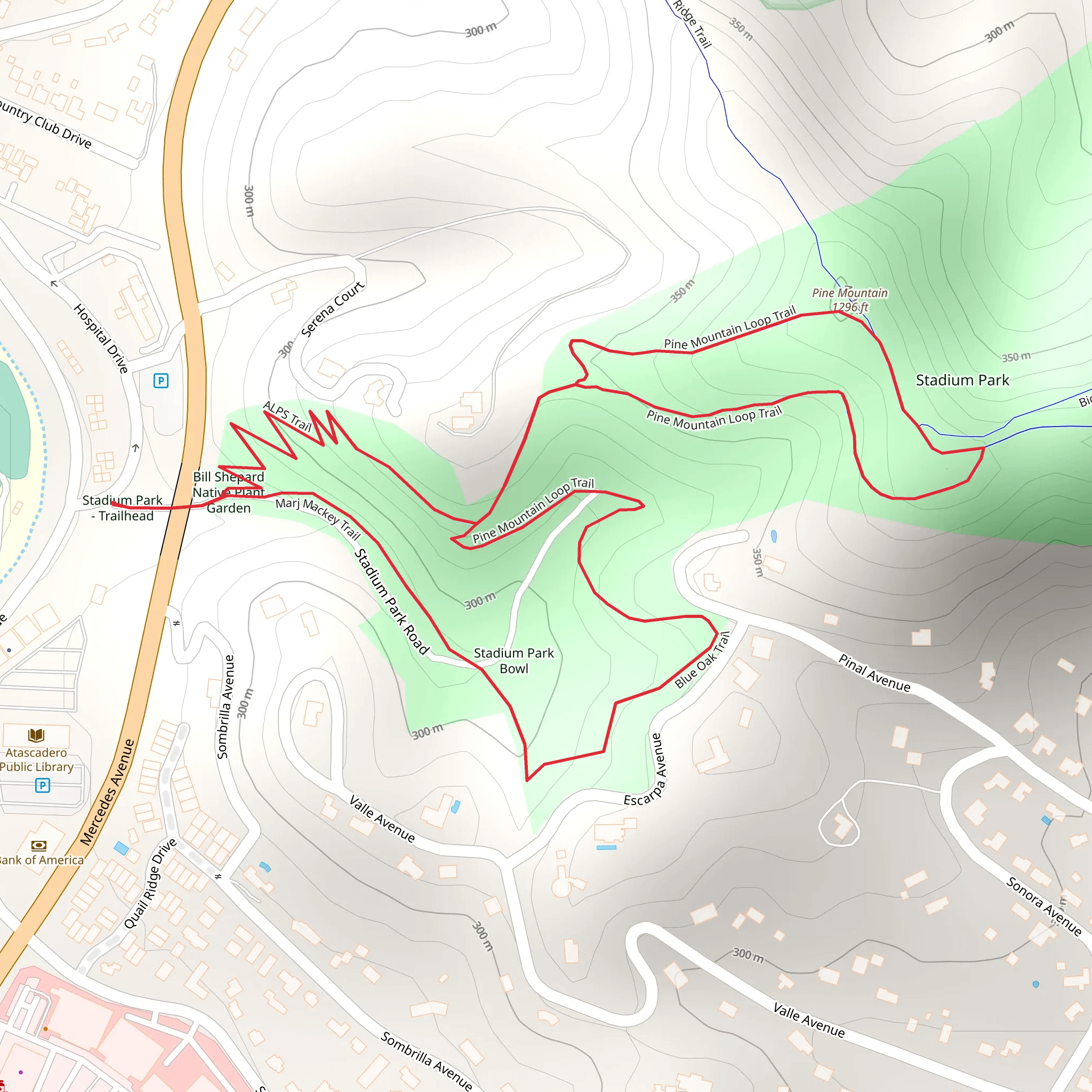 Pine Mountain and Marj Mackey Loop Trail - Stadium Park mobile static map