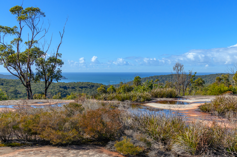 Patonga to Pearl Beach Track