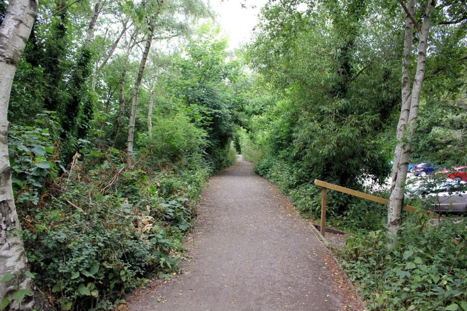 An image depicting the trail Caldy Hill Loop and its surrounding area.