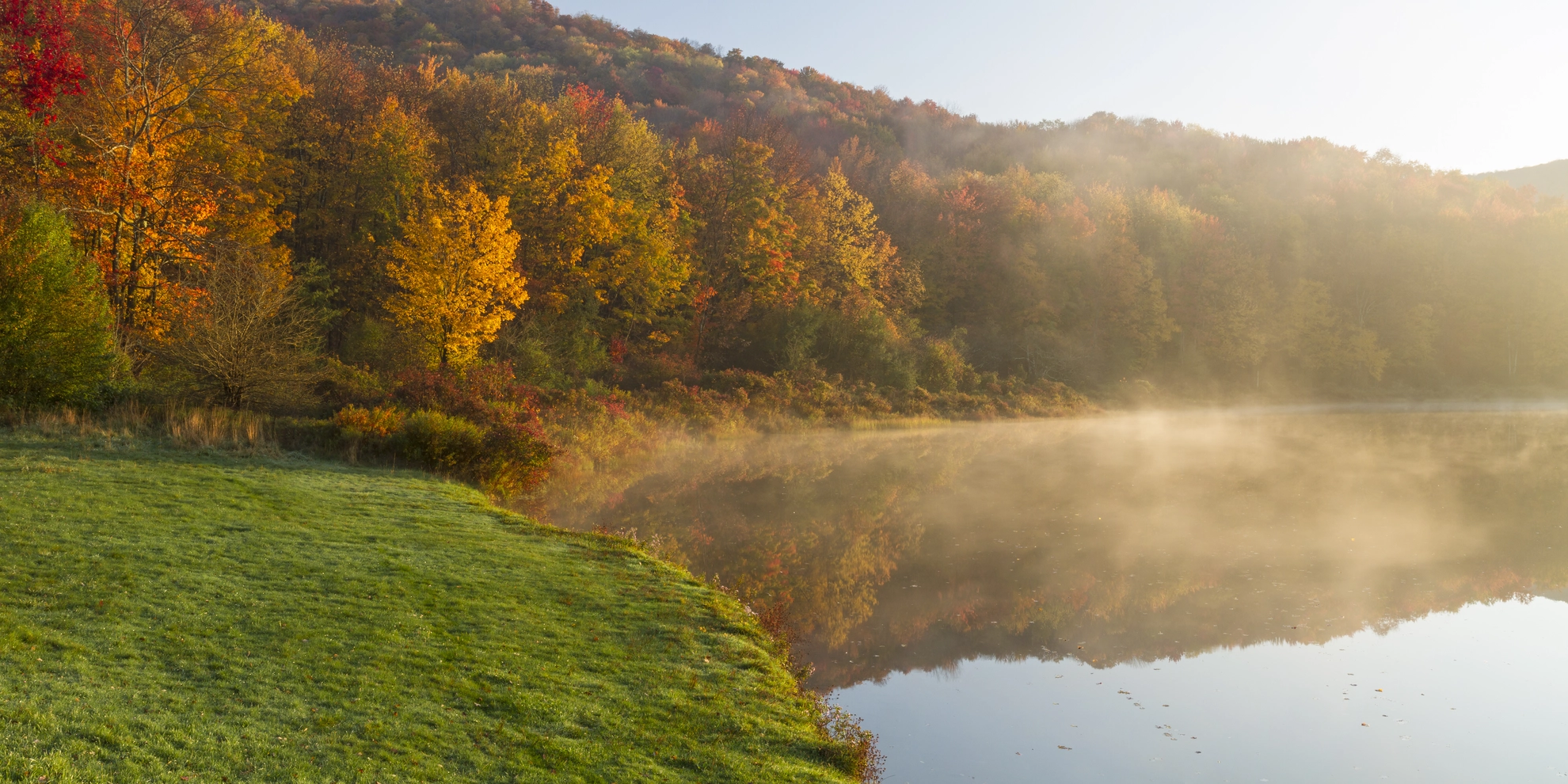 An image depicting the trail Millbrook Ridge and Balsam Lake Mountain via Finger Lakes Trail and its surrounding area.