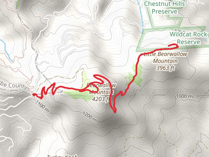 Bearwallow Mountain Trail and Wildcat Rock Trail