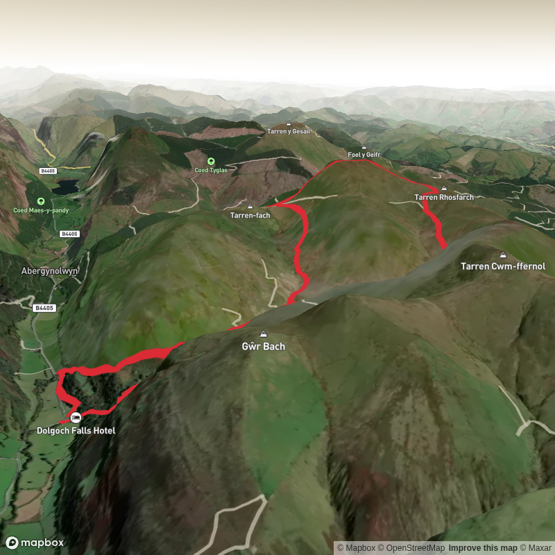 The Dolgoch Falls and Tarrenhendre (33)