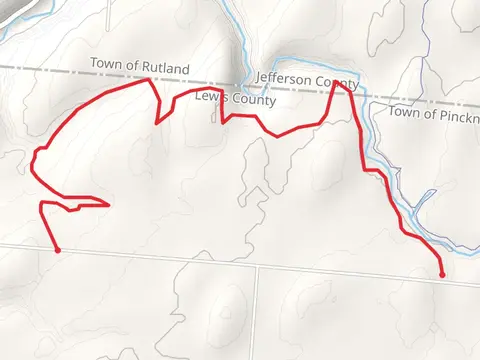 Pinckney Road Trail