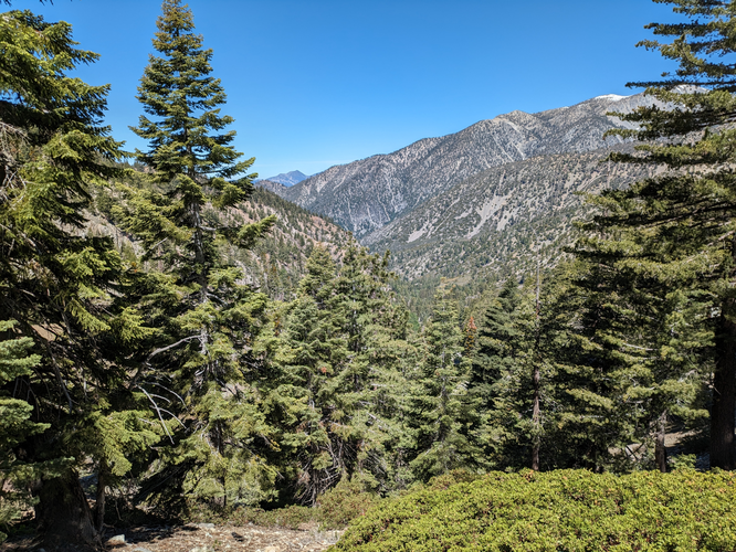 Kelly Camp via Icehouse Canyon Trail