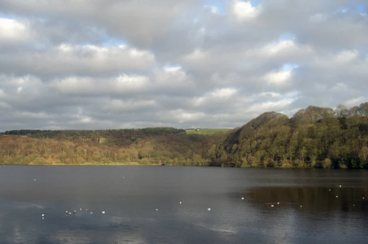 Anglezarke Reservoir Shore Walk