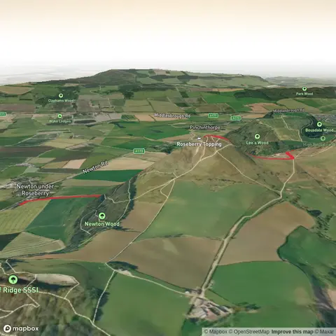 Roseberry Topping Circular