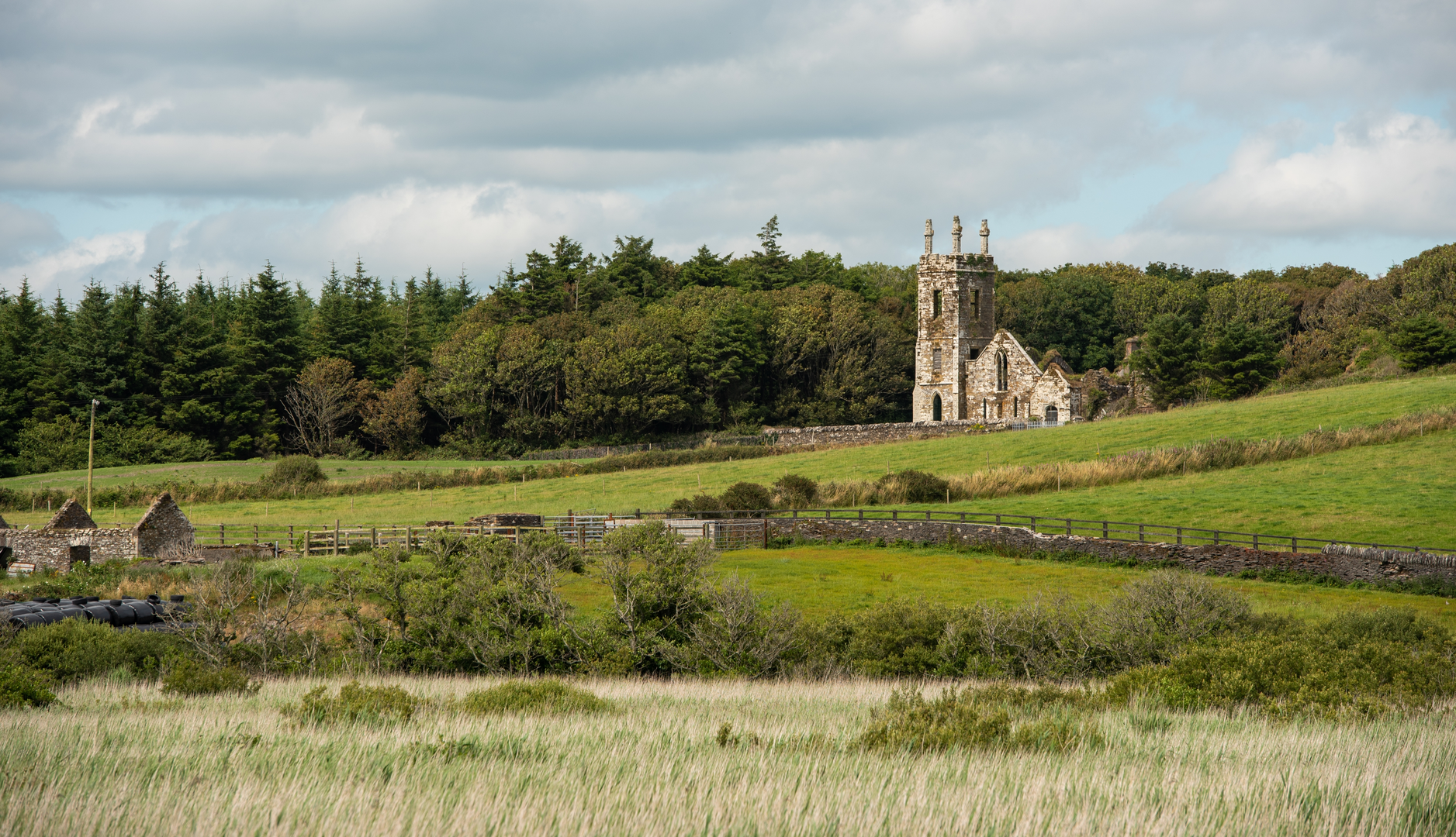 An image depicting the trail Castlefreke - Rathbarry Old Churches Loop and its surrounding area.